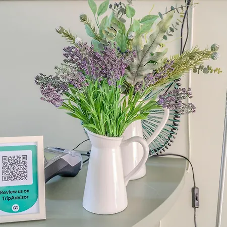 Evangelia & - A Apartamento *